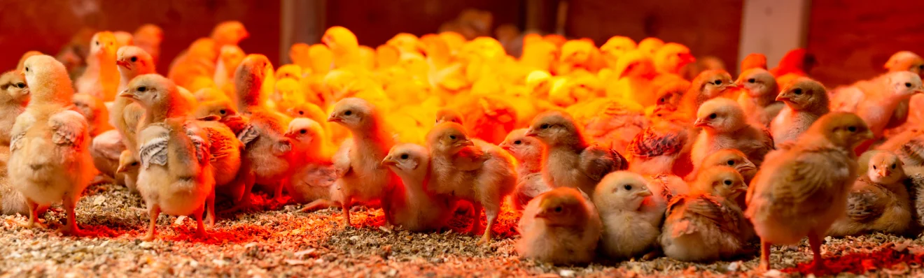 Start your farming journey with us - learn, implement and achieve results